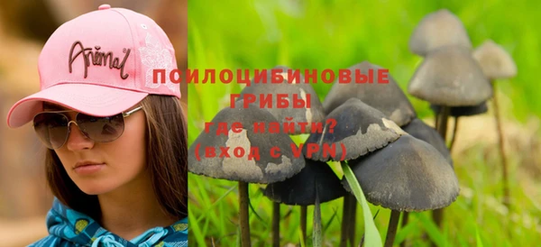 ешки Нефтегорск
