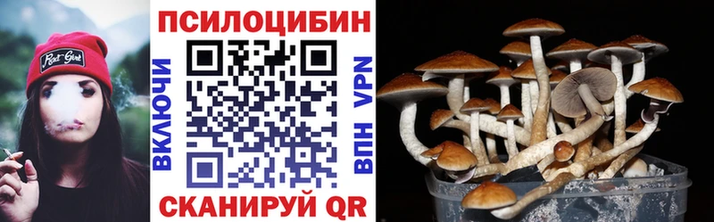 Псилоцибиновые грибы Psilocybine cubensis  Аксай 