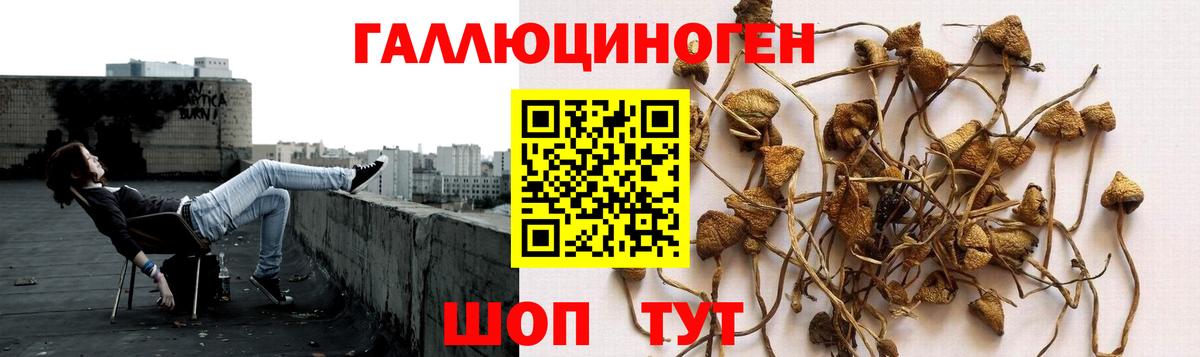 Аксай  Псилоцибиновые грибы MAGIC MUSHROOMS  Вход с VPN 